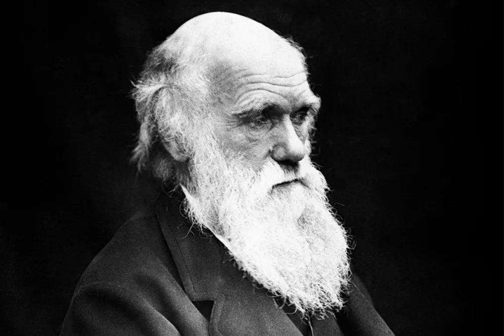 Tra realismo e positivismo. Il Darwinismo
